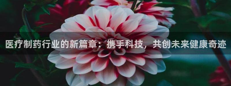 彩名堂怎么跟计划才不连挂呢