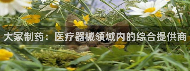 彩名堂计划怎么出的