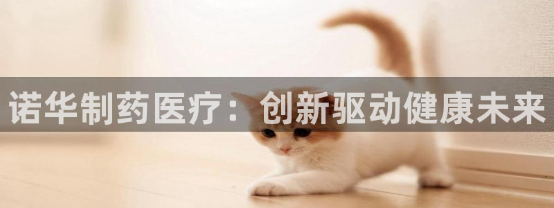 彩名堂还能用吗