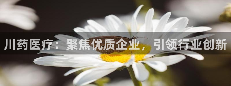 彩名堂官网在线计划怎么不更新了