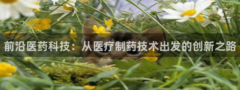 彩名堂5.0计划永久免费版为什么下不了