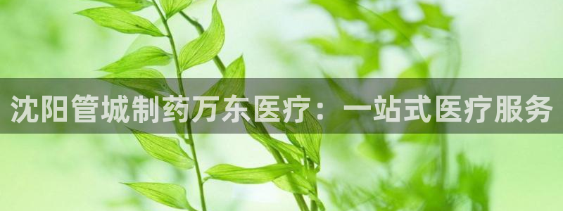 彩名堂用不了