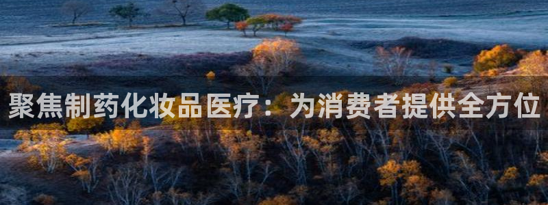 彩名堂计划怎么出的
