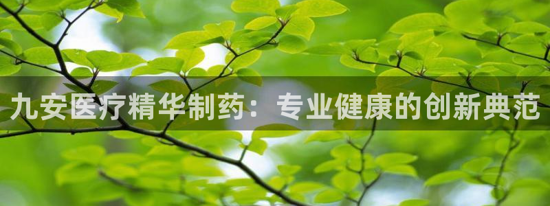 彩名堂免费计划5.0使用方法