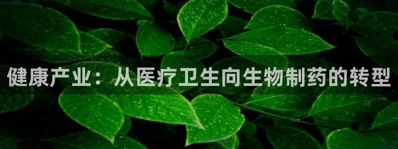 彩名堂预测计划