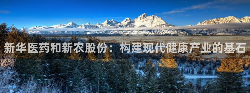 下载彩名堂预测计划软件安卓