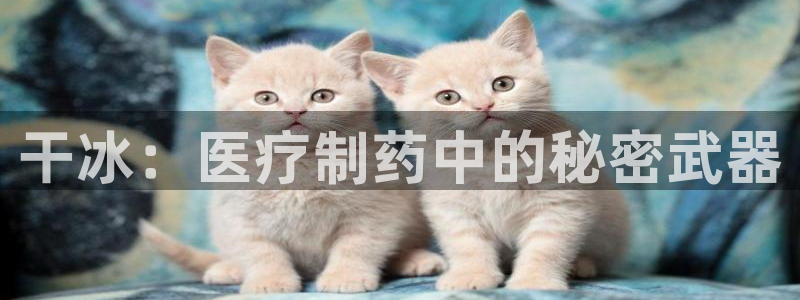 彩名堂移动客户端怎么下载